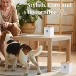 Airtight Dog Treat Jar Set of 2