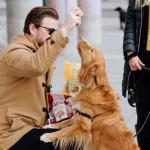 Rollover Crunchy Beef Dog Cookies - 250g