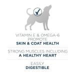 Purina ONE Dry Dog Food for Healthy Skin