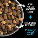 Nutrience Grain-Free Subzero High Protein Dog Food