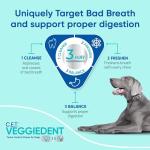 Virbac C.E.T. VEGGIEDENT FR3SH Chews for Dogs