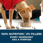 Purina ONE Dry Dog Food for Healthy Skin