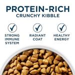 Purina ONE Dry Dog Food for Healthy Skin