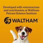 PEDIGREE DENTASTIX Bacon & Chicken Dog Treats