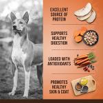 Zoë Medium Breed Dry Dog Food, Turkey & Chickpea