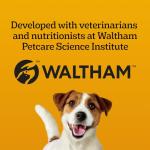 PEDIGREE DENTASTIX Oral Care Treats for Small Dogs