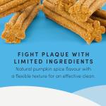 Crumps' Naturals Pumpkin Spice Plaque Busters, 10 Pack