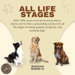 Inukshuk Marine 16 Dog Food for All Life Stages