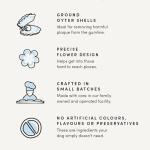 Crumps' Naturals Pumpkin Spice Plaque Busters, 10 Pack