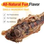 Beef Tail Bones for Dogs - Healthy Chew Treats