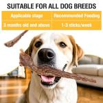Beef Tail Bones for Dogs - Healthy Chew Treats