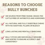 Bully Bunches Odour-Free Beef Bully Sticks for Dogs