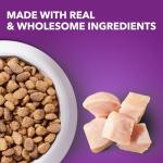 IAMS Advanced Health Dry Dog Food - Chicken & Salmon