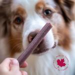 Animora Cranberry Dental Sticks for Large Dogs