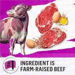 Beyond Simply Natural Dry Dog Food - Beef & Barley