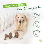 Benebone Small Wishbone Dental Dog Chew Toys