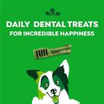 GREENIES Original Dental Dog Treats - 54 Count