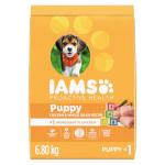 IAMS Proactive Health Puppy Chicken Dry Dog Food