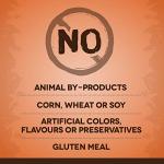 Zoë Medium Breed Dry Dog Food, Turkey & Chickpea