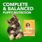 IAMS Proactive Health Puppy Chicken Dry Dog Food