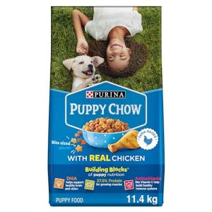 Puppy Chow Dry Puppy Food with Real Chicken