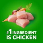 IAMS Proactive Health Puppy Chicken Dry Dog Food