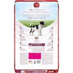 Purina ONE Dry Puppy Food with Lamb - 6 kg
