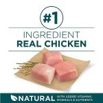 Purina ONE Large Breed Puppy Food with Chicken