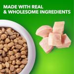 IAMS Proactive Health Puppy Chicken Dry Dog Food