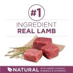 Purina ONE Dry Puppy Food with Lamb - 6 kg