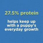 Puppy Chow Dry Puppy Food with Real Chicken