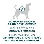 Purina ONE Large Breed Puppy Food with Chicken