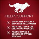 Purina ONE True Instinct Dry Puppy Food 1.72kg