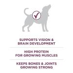 Purina ONE Dry Puppy Food with Lamb - 6 kg