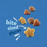 Puppy Chow Dry Puppy Food with Real Chicken