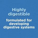 Puppy Chow Dry Puppy Food with Real Chicken