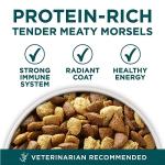 Purina ONE Large Breed Puppy Food with Chicken