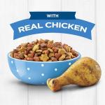 Puppy Chow Dry Puppy Food with Real Chicken