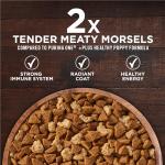 Purina ONE True Instinct Dry Puppy Food 1.72kg