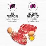 Beyond Simply Natural Dry Dog Food - Beef & Barley