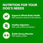 IAMS Proactive Health Dry Dog Food - Beef & Rice