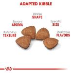 Royal Canin X-Small Breed Puppy Dry Food, 3 lb