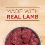 Purina ONE Classic Ground Puppy Food, Lamb & Rice