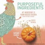 Beyond Natural Chicken & Oatmeal Puppy Food 1.67kg