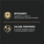 Purina Pro Plan Lamb & Rice Puppy Food 2.72kg