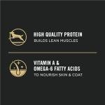 Purina Pro Plan Lamb & Rice Puppy Food 2.72kg