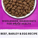 Beyond Simply Natural Dry Dog Food - Beef & Barley