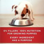 Purina ONE Classic Ground Puppy Food, Lamb & Rice