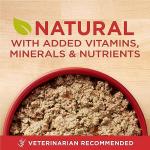 Purina ONE Classic Ground Puppy Food, Lamb & Rice