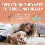 Beyond Natural Chicken & Oatmeal Puppy Food 1.67kg